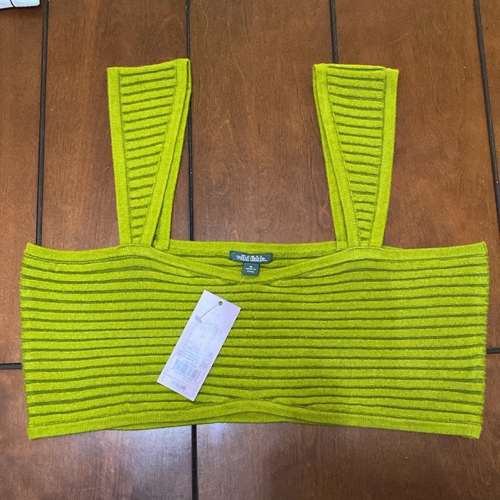 Wild fable crop top